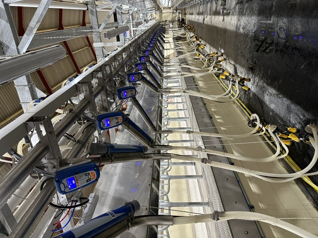 Modern dairy project