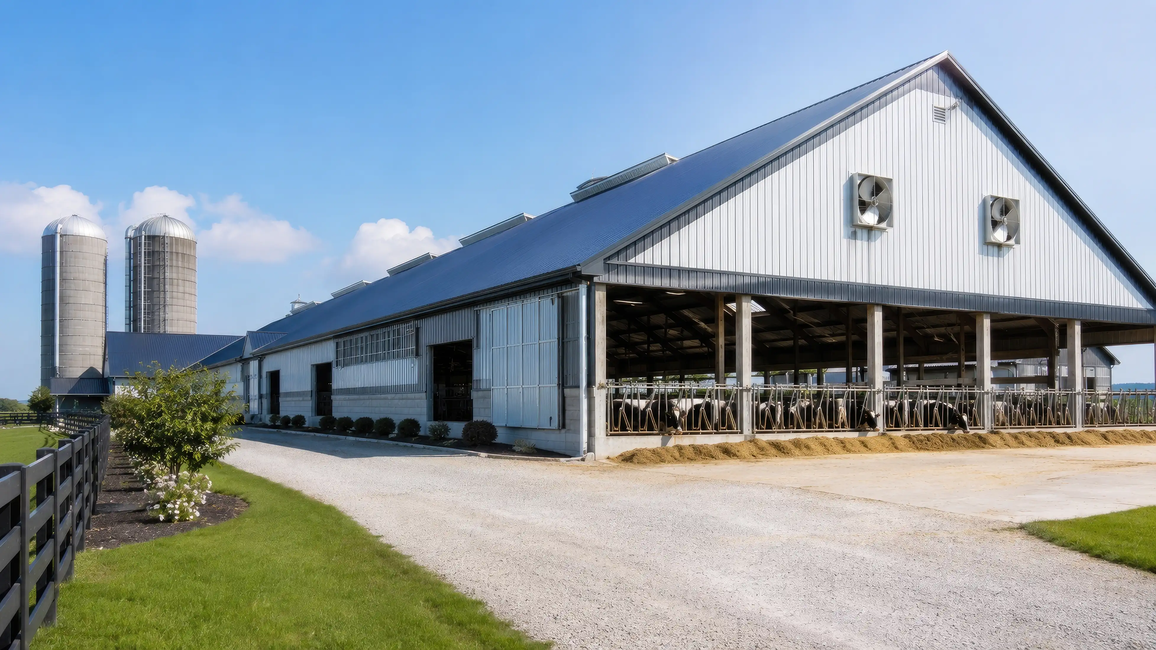 Modern dairy parlour installation